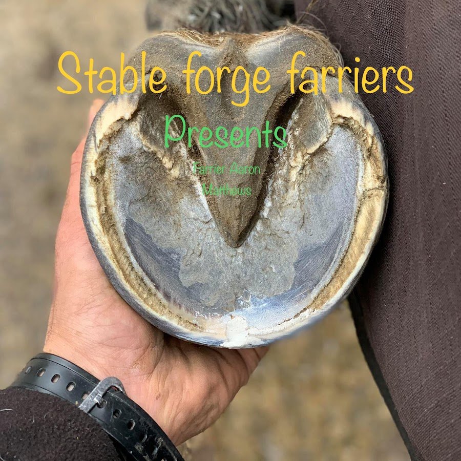 Stable Forge Farrier & Medicated hoof