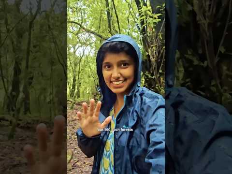 Secret Forest of India! 😮