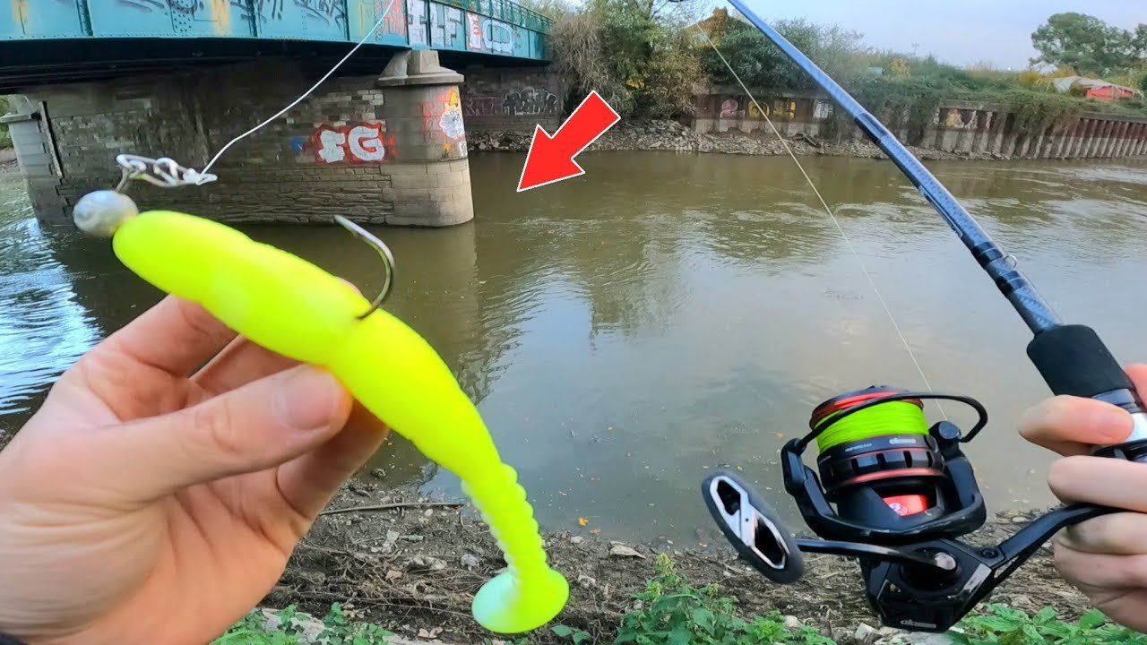 I didn't expect to find such a fish while fis...