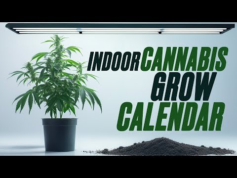 Beginner's Guide to Indoor Cannabis Growing: Week-by-Week from Seed to Harvest with Kyle Kushman