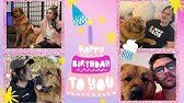 HasanAbi Watches A Top Secret Kaya Video On Her 3rd Birthday