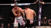 Minotauro Nogueira vs Brendan Schaub Highlights (Big Homecoming) #ufc