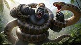 Baby Gorilla Attacked by Giant Anaconda ‼️ But Father Gorilla Sees and Strikes Back
