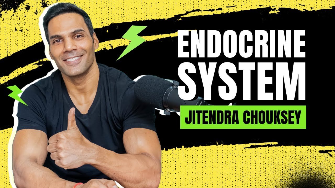 Jitendra Chouksey - Endocrine System