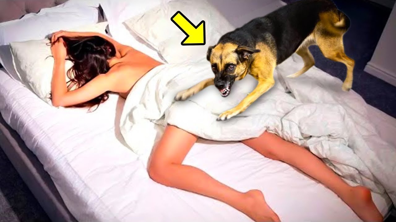She Slept With Her Dog Every Night. Months La...