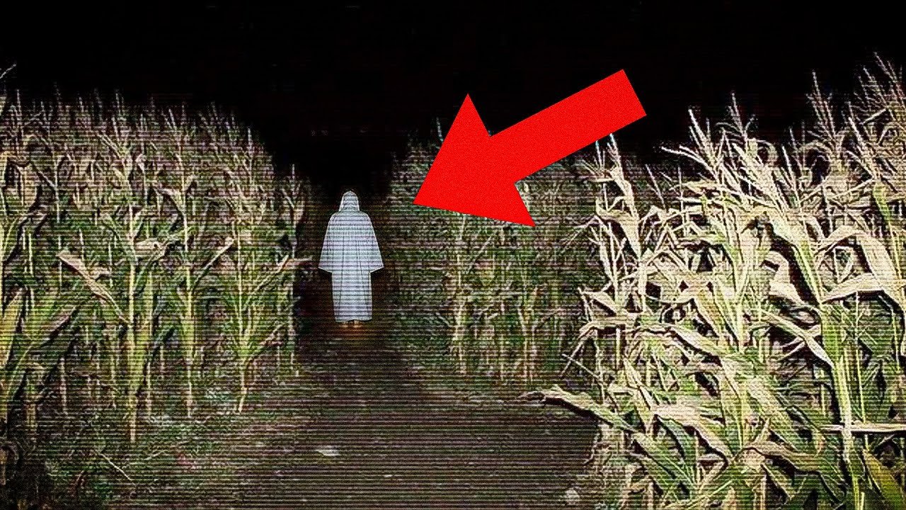 The Creepiest Cornfield Encounters (Part 2)
