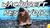 Fishing the Wachusett Reservoir for Lake Trout (BIG Smallmouth Caught!!!)