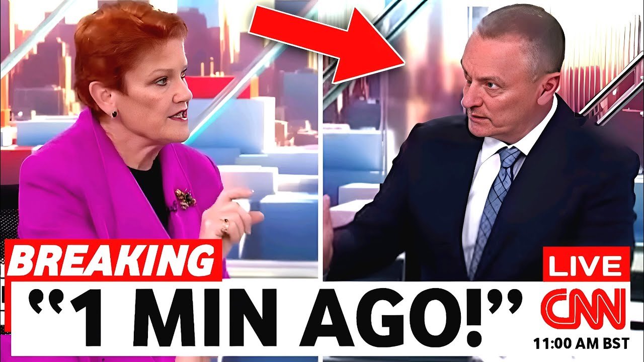 Sky News Reporter LOSES CONTROL After Pauline Hanson DESTROYS Him and Labor's Net Zero On LIVE TV.