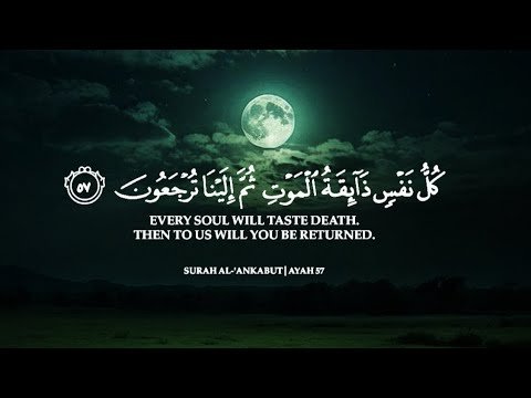 أرح سمعك.. تلاوة هادئة تريح القلب😴 | ساعتين متواصلة🕛🎧 القارئ عبدالرحمن مسعد | Abdulrhman Mosad