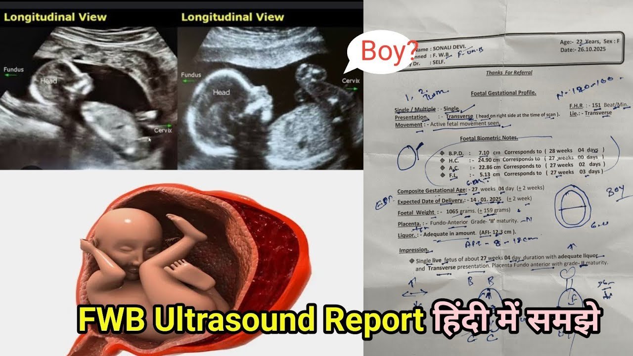 FWB Ultrasound report Transverse | Ultrasound Report Kaise dekhe | Ultrasound Explained in Hindi