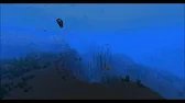 C418 - dragon fish ( Minecraft 1.13 Music )