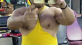 Bearish chest! #beefymuscle.com #beefy #massive #muscle #musclebear #musclehunk #bulky #pecs