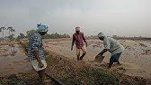 POLAM ODLU PETTUDU & DHUNNUDU || DAILYVLOG 22 || AK MOTOVLOGS 1