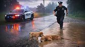 How a Puppy Saved His Mother's Life...