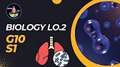 LO 2 Biology | Grade 10 Semester 1 | Scienced STEM