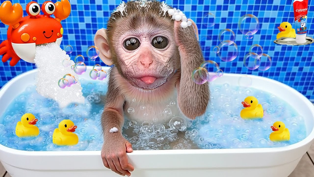 Bebé Mono ChuChu cuida a Bebé Mono y bebe jugo de frutas colorido y delicioso - Monkey ChuChu