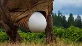 How Dinosaurs Laid Eggs - How They Were Laid, Hatched, and Guarded