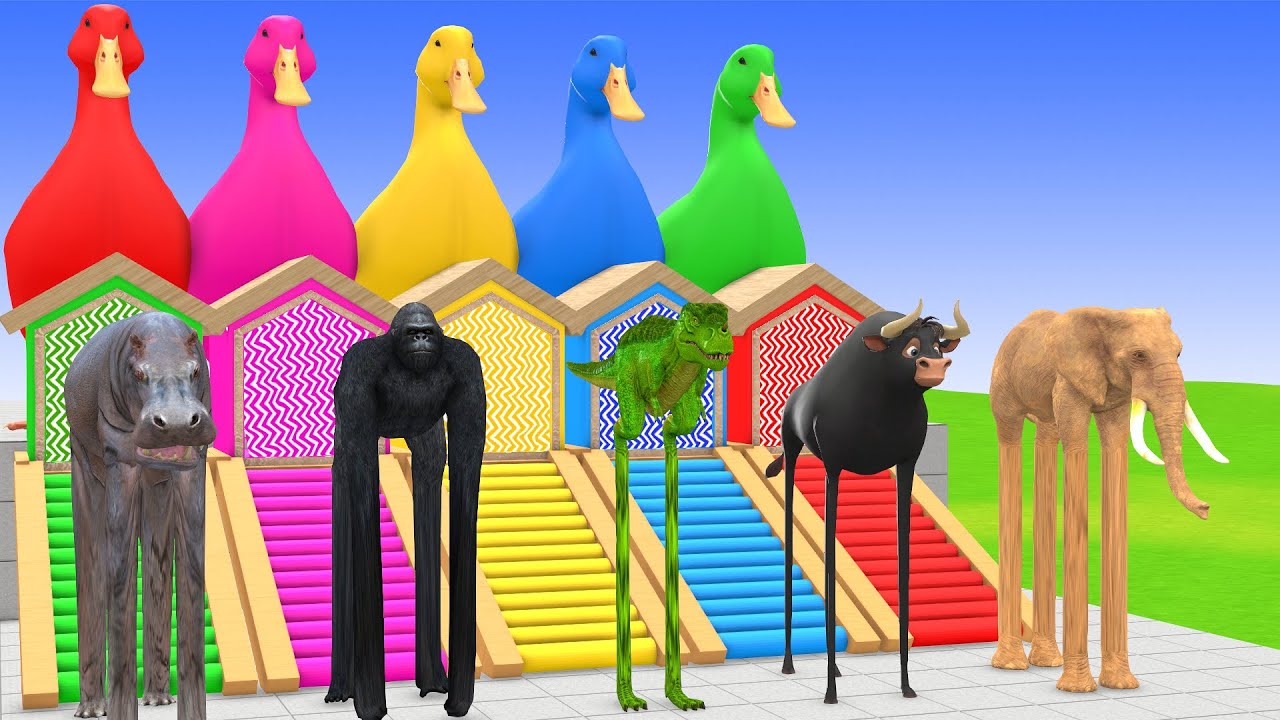 Long Slide Game with Cow Elephant Gorilla Hippopotamus Tiger 3d Animal Game Funny 3d Animals