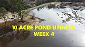 Water Level & Grass Update!! (Week 4) [10 Ac...
