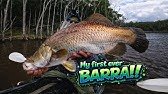 My FIRST ever barramundi, Lake Lenthall (NO net + kayak = TOTAL CHAOS!)