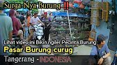 Pasarnya burung,hewan dan ayam| Curug Tangerang banten terbaru!