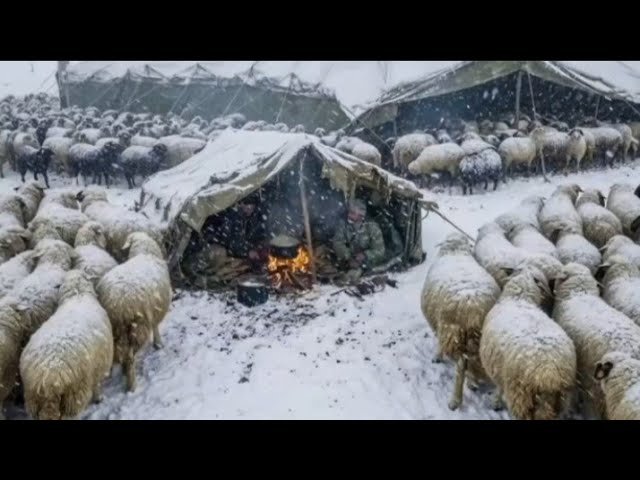 31°C Survival: A Shepherd Family Battling Afghanistan’s Freezing Mountains