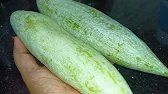 புடலங்காய் இப்படி செஞ்சா சட்டி கூட மிஞ்சாது!! Extra taste கிடைக்க இப்படி டேஸ்ட்டா செஞ்சு பாருங்க