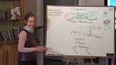 Barbara O'Neill Pap Smears