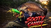 THESE FISH HIT LIKE FREIGHT TRAINS!! 🥊🎣🚀