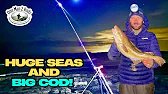 Biggest COD Of The Season So Far | Northumberland | North East Cod Fishing