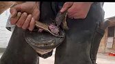 Stable Forge Farrier .Ep14. 2 Ways To Treat Seedy Toe For The Barefoot Horse