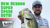 NEW Topwater Bass Lures - Heddon Super Spook Boyo