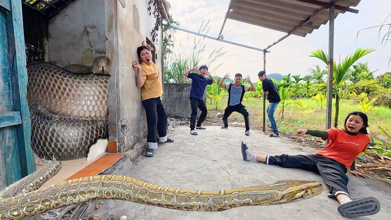 Last-Second Rescue: Hunters Confront a Giant Anaconda in an Abandoned House