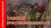 Unbelievable: Watch Me Paint The Smallest Primate On Earth!