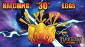 Hatching *30 SUN EGGS* / Roblox Dragon Adventures