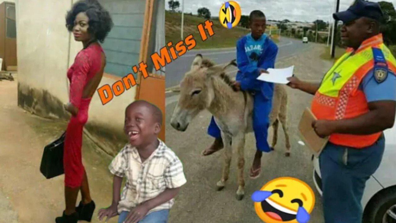 BEST OF THE MONTH #230 - Hilarious People's Life TRY NOT TO LAUGH 😂🔥