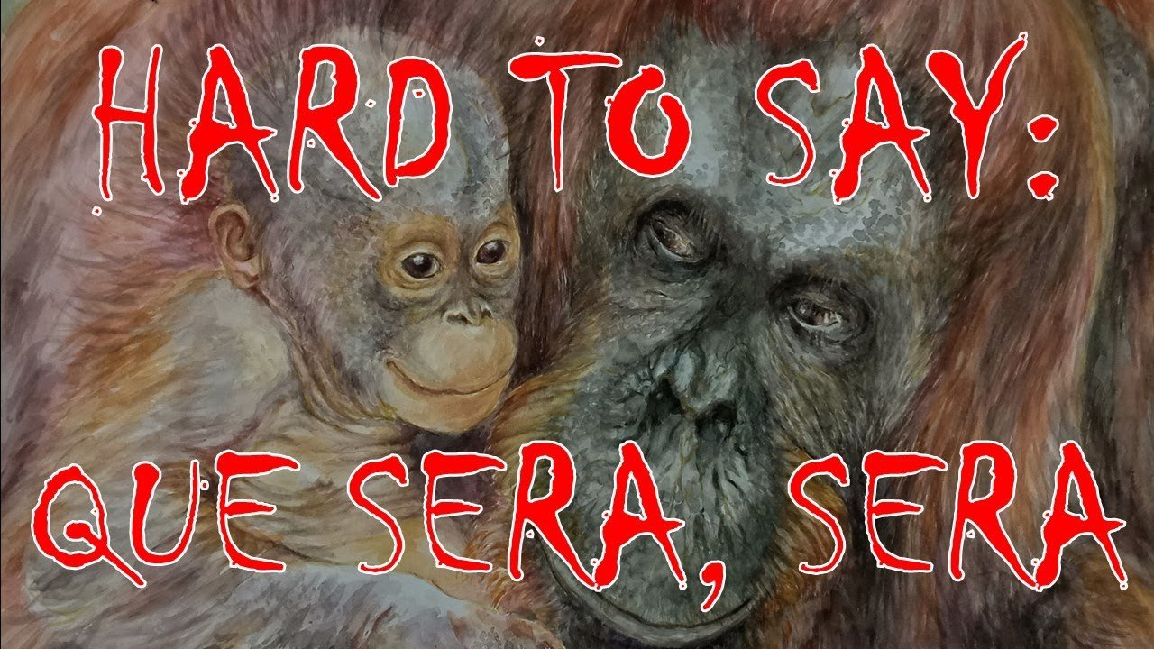 Indonesian Wildlife | Orangutan Watercolor Painting | Mother, what will I be?