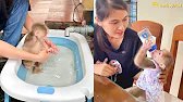 A daily life and routine of Monkey Abi!