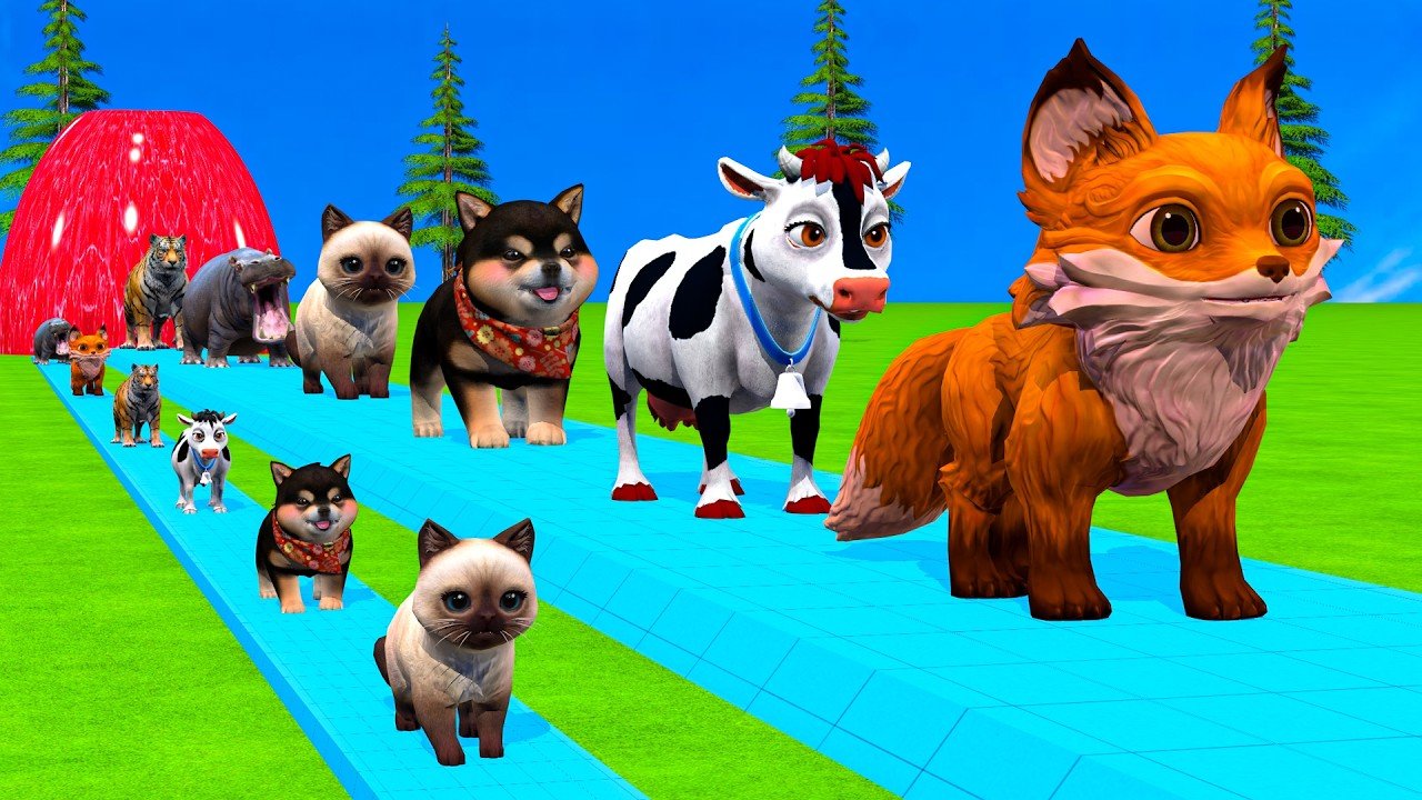 Long Slide Game With Elephant Gorilla Buffalo Hippopotamus Tiger - 3d Animal Game - Funny 3d Animals