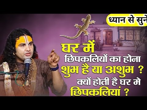 घर में छपकलियों का होना, शुभ है या अशुभ ? क्य...