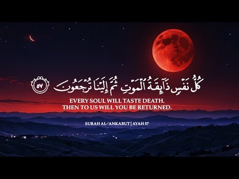 أرح سمعك.. تلاوة هادئة تريح القلب😴 | ساعتين متواصلة🕛🎧 القارئ عبدالرحمن مسعد | Abdulrhman Mosad