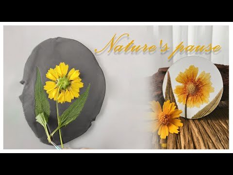 Imprint of Golden Crownbeard - from plaster casting to coloring