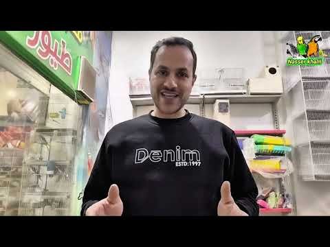 طفرات البادجي النادرة والرائجة 2025 | أسعار الدبل بلاك والتريبل بلاك وكيف تختار أفضل طفرة للربح(1)