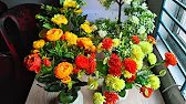 See all my flower collections