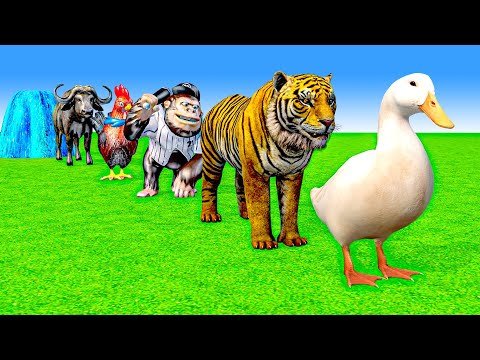 Long Slide Game With Cow Elephant Gorilla Hippopotamus Tiger - 3d Animal Game - Funny 3d Animals