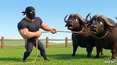 Thief in Old MacDonald Farm story | Animated Kids Moral Story – Hindi cartoon #rhymes #hindi