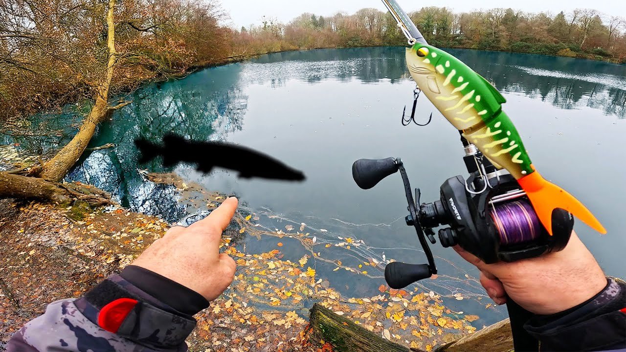 cet Étang de 300 Ans Abrite des Monstres ! ( ...