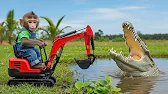 Baby Monkey Enis Builds a Farm Pond and Encounters a Giant Crocodile | Enis Monkey