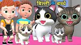 बिल्ली के बच्चे | Chintu aur Cat | Chintu car...