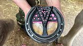 The Highland Farrier ep6 Alfie. Utilising 3D pads to correct hoof alignment